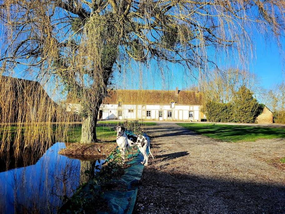 Gite Au Haras D'Agathe Et Ses Princes Les Barils Εξωτερικό φωτογραφία