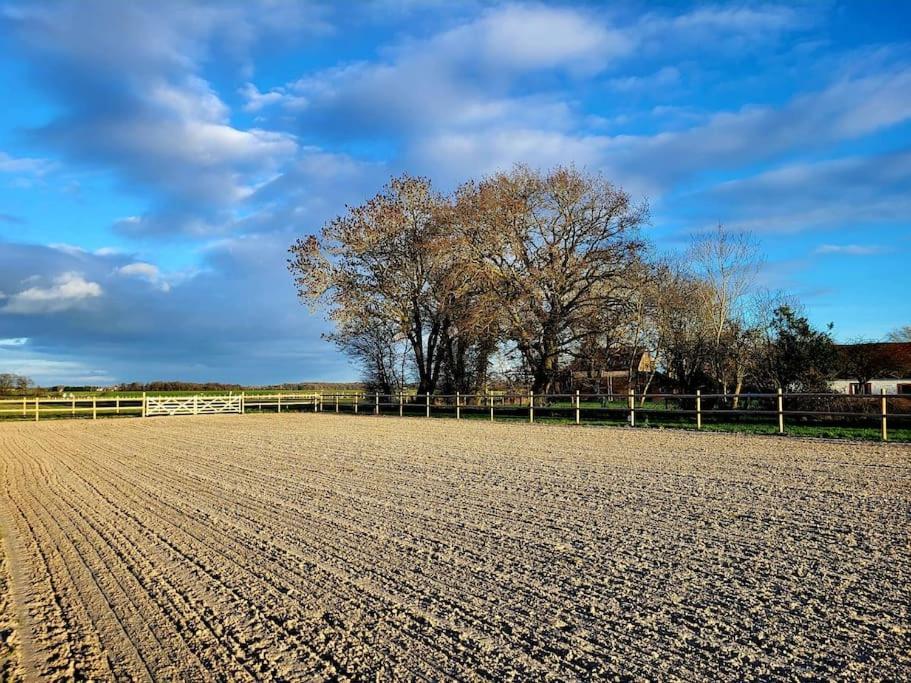 Gite Au Haras D'Agathe Et Ses Princes Les Barils Εξωτερικό φωτογραφία