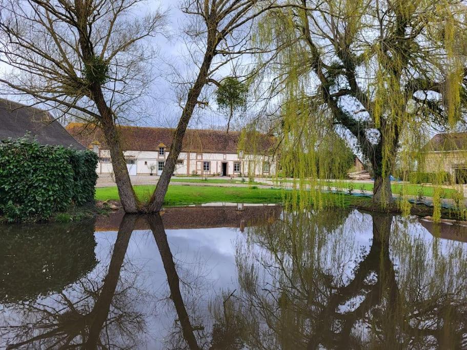 Gite Au Haras D'Agathe Et Ses Princes Les Barils Εξωτερικό φωτογραφία